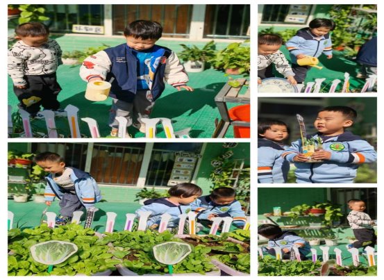 微信图片_20251121160301